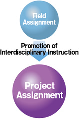 The field Assignment type to the project Assignment type by promoting of interdisciplinary instruction